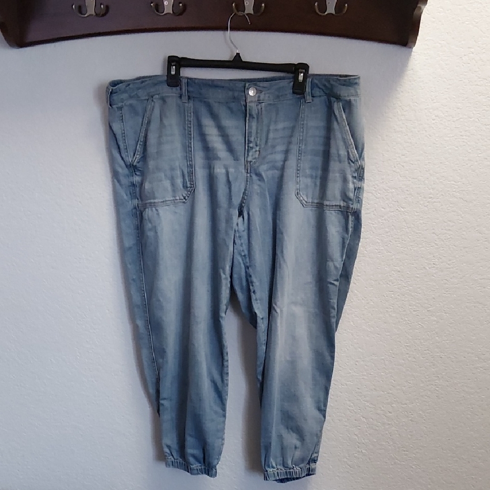 Wonderly Light Blue Denim Joggers